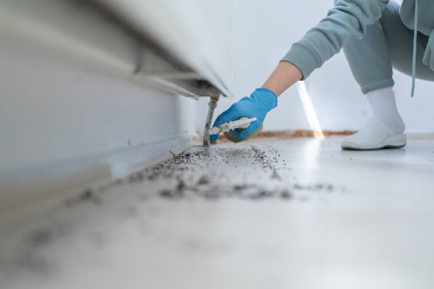 Pest Control Cost in Port Byron, NY